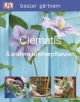 besser gärtnern - Clematis & andere Kletterpflanzen