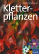 Schöne Kletterpflanzen