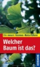 Welcher Baum ist das?