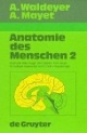 Anatomie des Menschen,Bd.2,Kopf & Hals,Auge,Ohr,Gehirn,Arm,Brust
