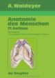Anatomie des Menschen
