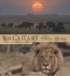 Kalahari - wildes Afrika