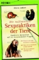 Die raffinierten Sexpraktiken der Tiere: Fundierte Antworten auf die brennendsten Fragen
