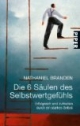 Die 6 Säulen des Selbstwertgefühls: Erfolgreich und zufrieden durch ein starkes Selbst
