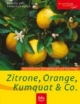 Zitrone, Orange, Kumquat & Co: Die schönsten Zitruspflanzen und ihre Pflege