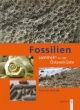 Fossilien sammeln an der Ostseeküste: Trilobiten, Seeigel, Donnerkeile und Co. - Fossilführende Gesteine des südwestlichen Ostseeraumes
