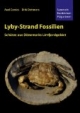 Lyby-Strand Fossilien: Schätze aus Dänemarks Limfjordgebiet