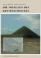 Die Fossilien des Kupferschiefers: Pflanzen- und Tierwelt zu Beginn des Zechsteins - eine Erzlagerstätte und ihre Paläontologie