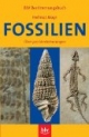 Fossilien: Über 500 Versteinerungen