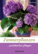 Zimmerpflanzen problemlos pflegen