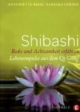 Shibashi - Ruhe und Achtsamkeit erfahren: Lebensimpulse aus dem Qi Gong