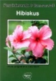 Hibiskus