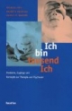Ich bin tausend Ich. Probleme, Zugänge, und Konzepte zur Therapie von Psychosen