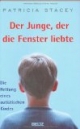Der Junge, der die Fenster liebte