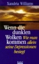 Wenn die dunklen Wolken kommen