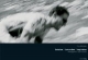 Rotation / Contraction / Inspiration: Photographien -Tour de France