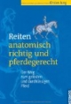 Reiten anatomisch richtig und pferdegerecht: Der Weg zum gelösten und durchlässigen Pferd