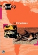 Aqualog, Bd.4, All Corydoras