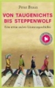 Von Taugenichts bis Steppenwolf: Eine etwas andere Literaturgeschichte
