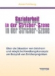 Sozialarbeit in der Stricher-Szene. Über die Situation von Strichern und mögliche Handlungskonzepte am Beispiel von Stricherprojekten