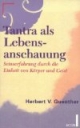 Tantra als Lebensanschauung. Seinserfahrung durch die Einheit von Körper und Geist