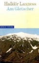 Am Gletscher