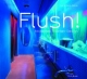 Flush! Modernes Toiletten-Design
